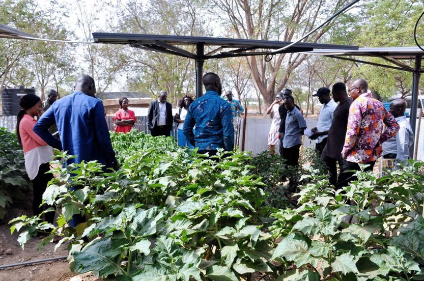 Site visit to the Tamale experimental field